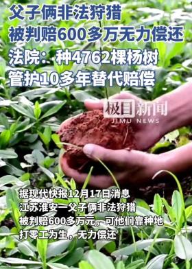 有温度！父子非法狩猎罚600多万无力偿还，法院判种树、管护代替赔偿