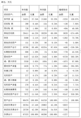 财务报表分析模板，三大报表细节解析完整版指南