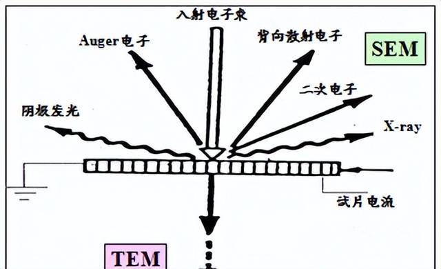 SEM原理及其应用领域概述