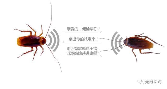 通俗易懂的天线知识指南，让你秒变半个专家